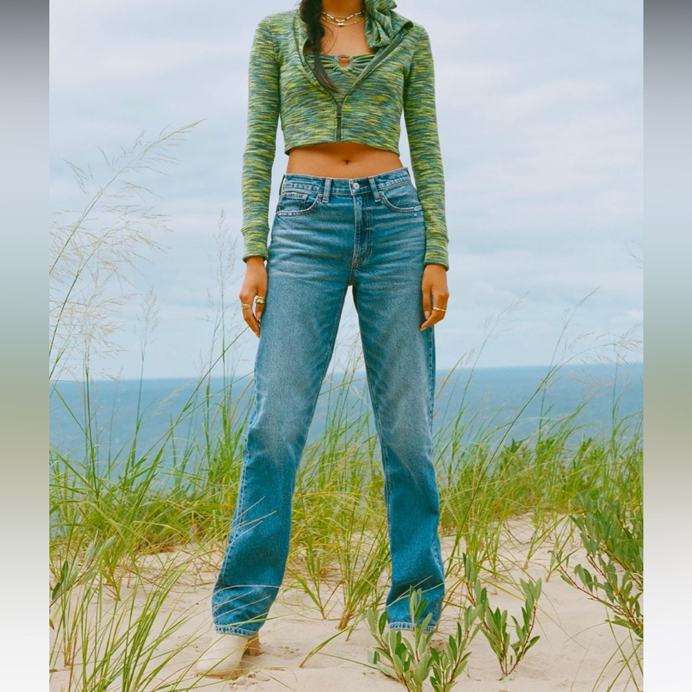 American Eagle Strigid Low Rise Baggy Straight Jeans